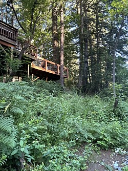 The Yoga Deck